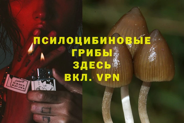 прущий лед Арсеньев