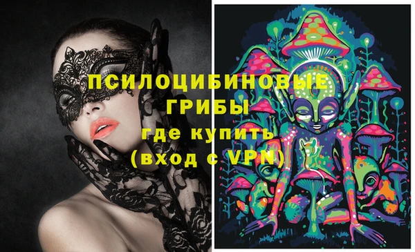 прущий лед Арсеньев